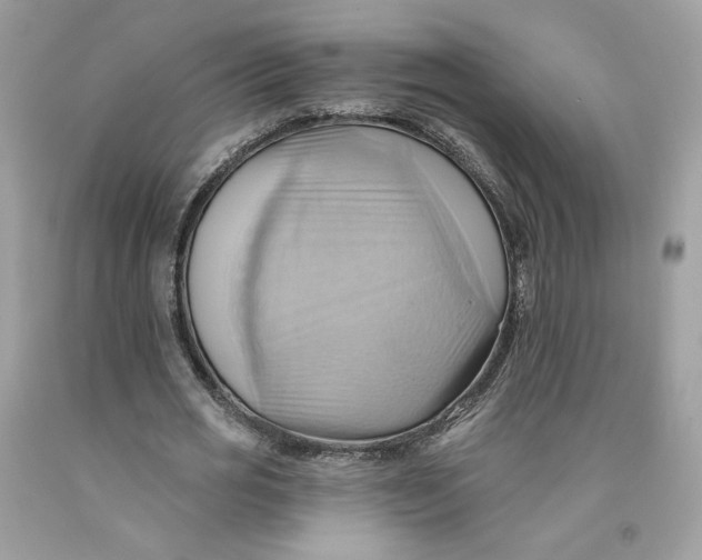 X0000091580725200709101018