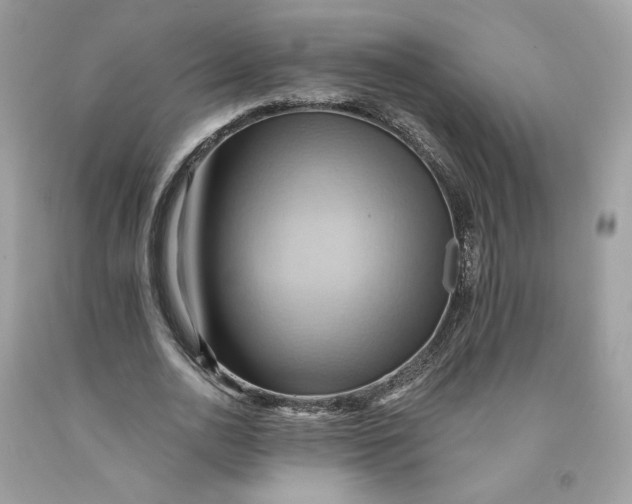 X0000091580726200709101018