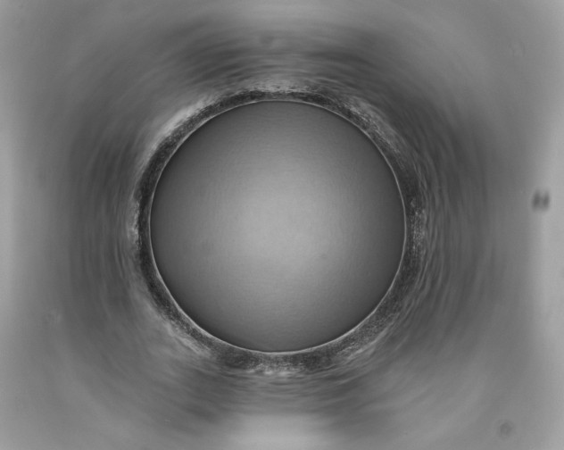 X0000091580727200709101018