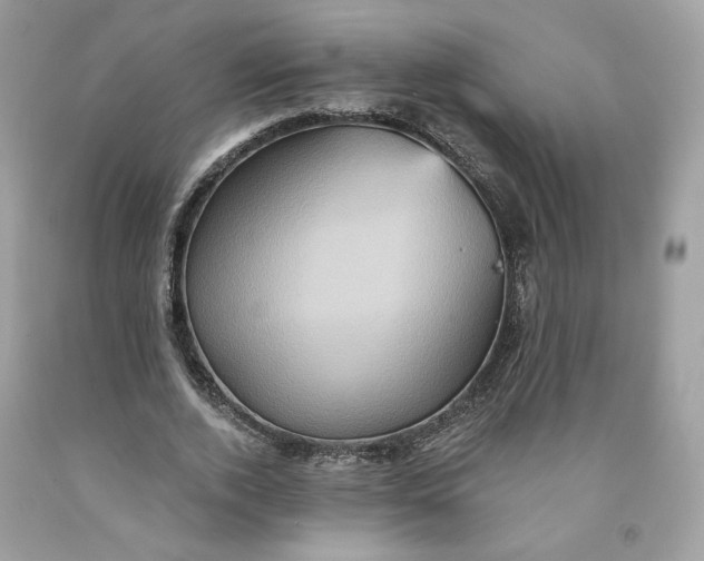 X0000091580728200709101018