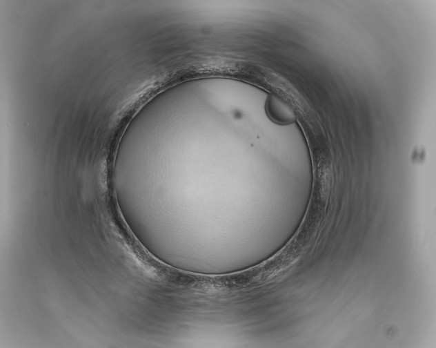 X0000091580729200709101018