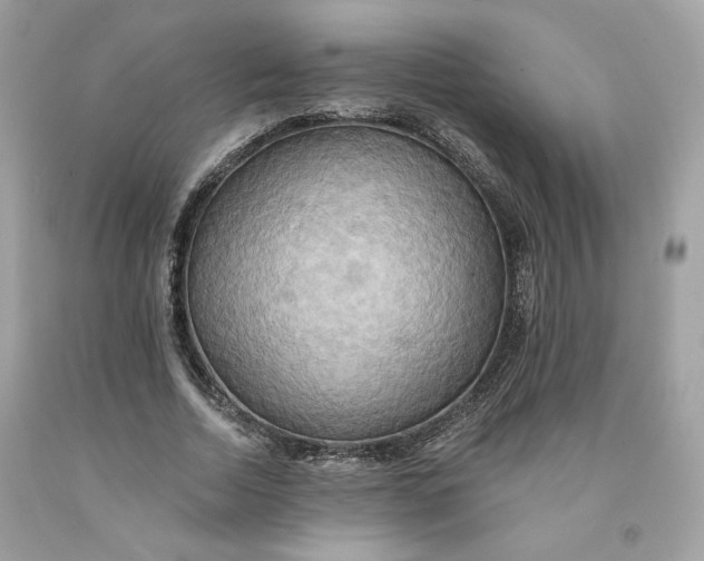 X0000091580730200709101018