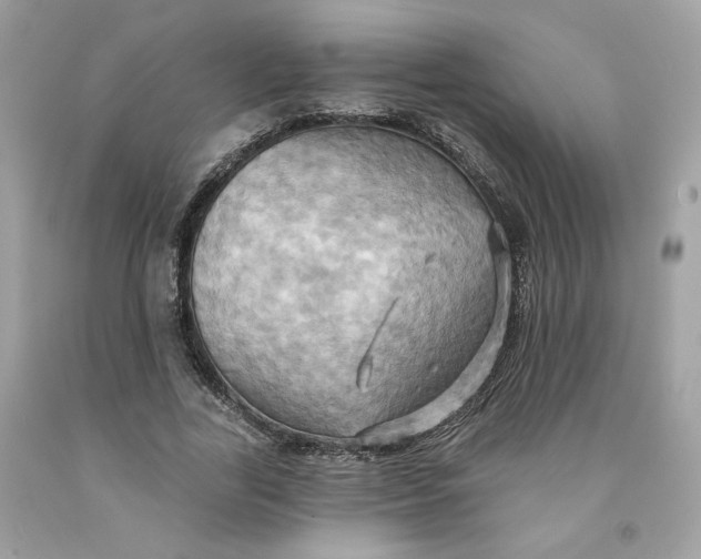 X0000091580731200709101018