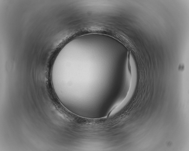 X0000091580732200709101018