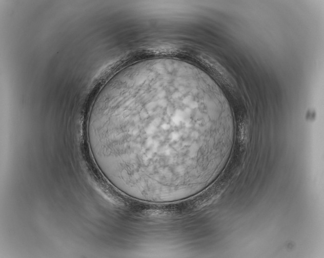 X0000091580733200709101018