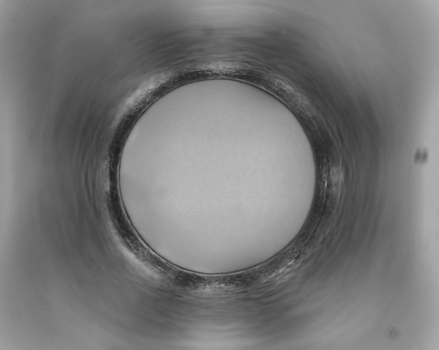 X0000091580734200709101018