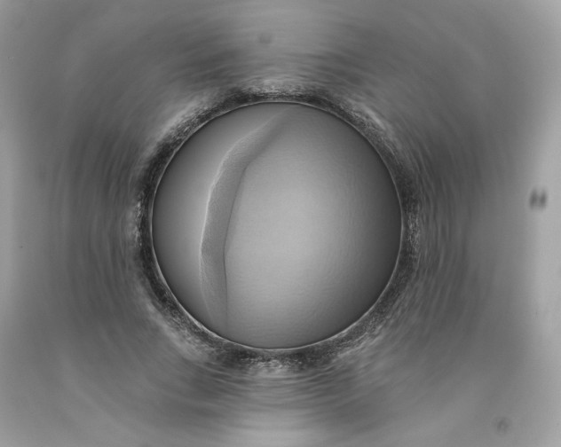 X0000091580735200709101018