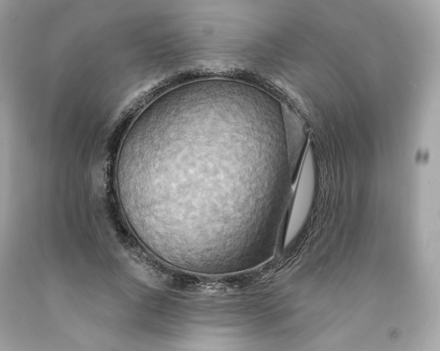 X0000091580736200709101018