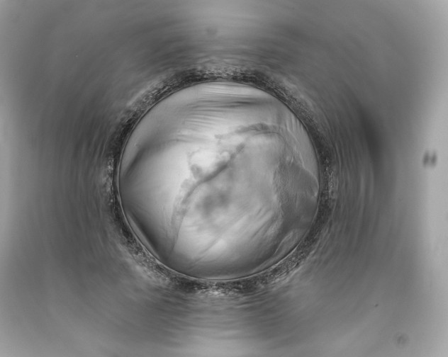 X0000091580737200709101018