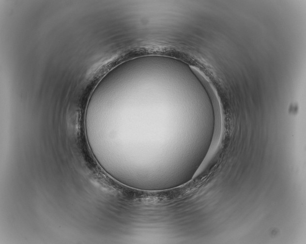 X0000091580740200709101018