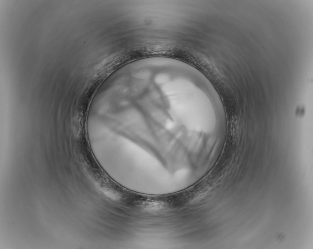 X0000091580741200709101018