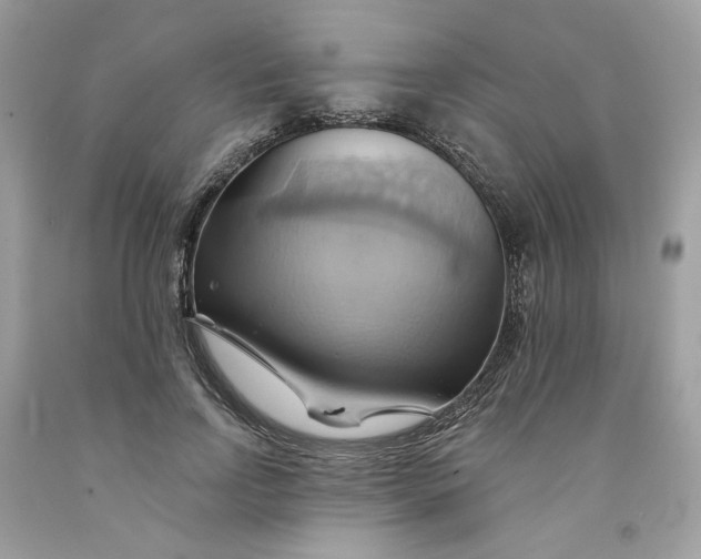 X0000091580742200709101018