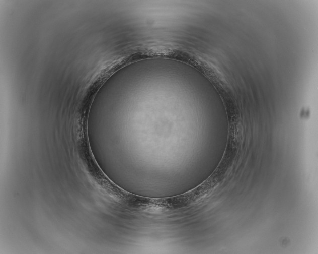 X0000091580743200709101018