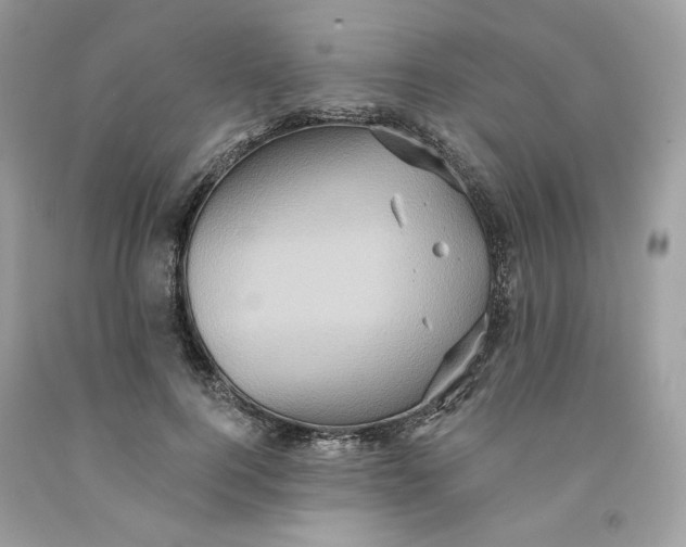 X0000091580744200709101018