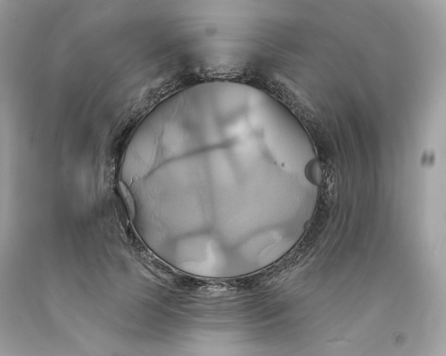 X0000091580745200709101018