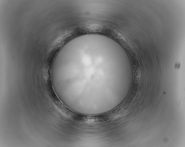 X0000091580746200709101018