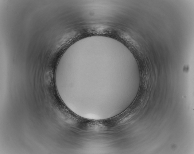 X0000091580747200709101018