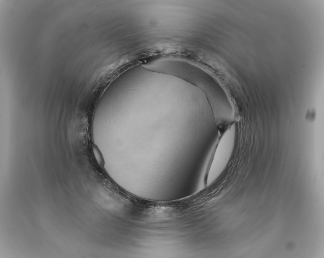 X0000091580748200709101018