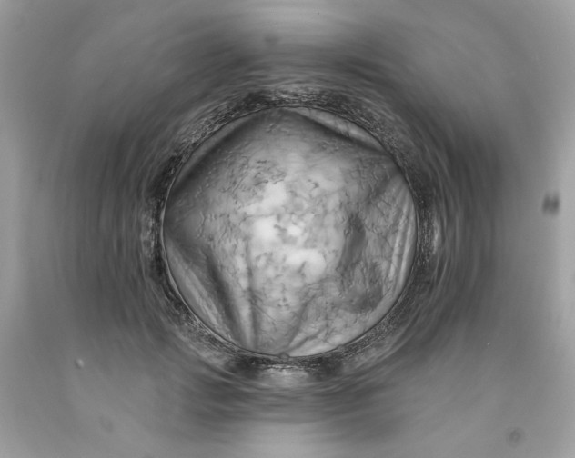 X0000091580749200709101018