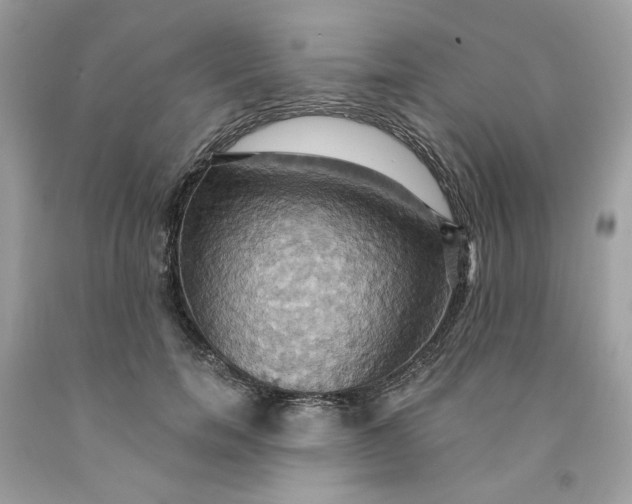 X0000091580750200709101018