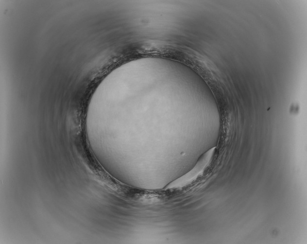 X0000091580751200709101018