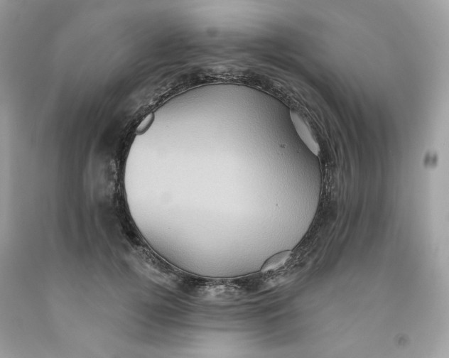 X0000091580752200709101018