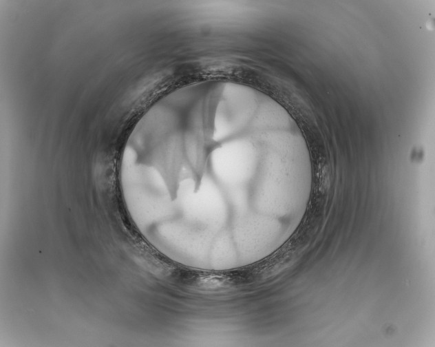 X0000091580753200709101018