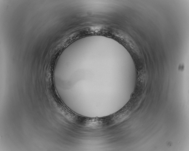 X0000091580754200709101018