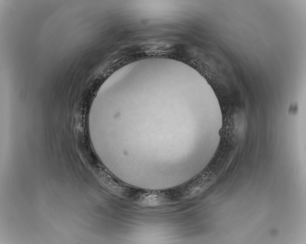 X0000091580755200709101018