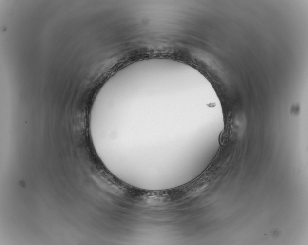 X0000091580756200709101018