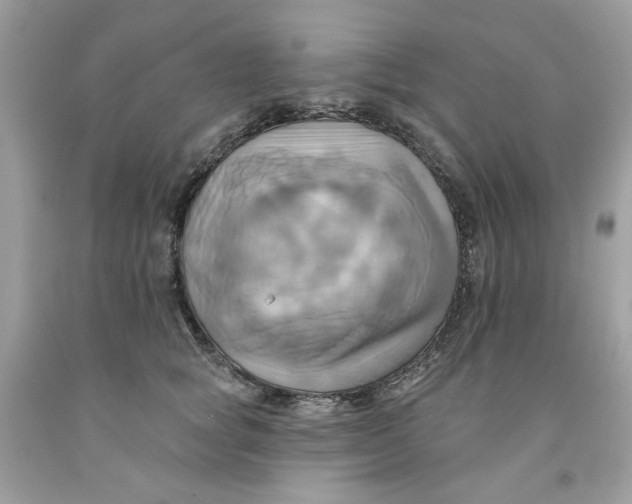 X0000091580757200709101018