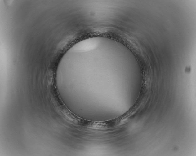 X0000091580758200709101018