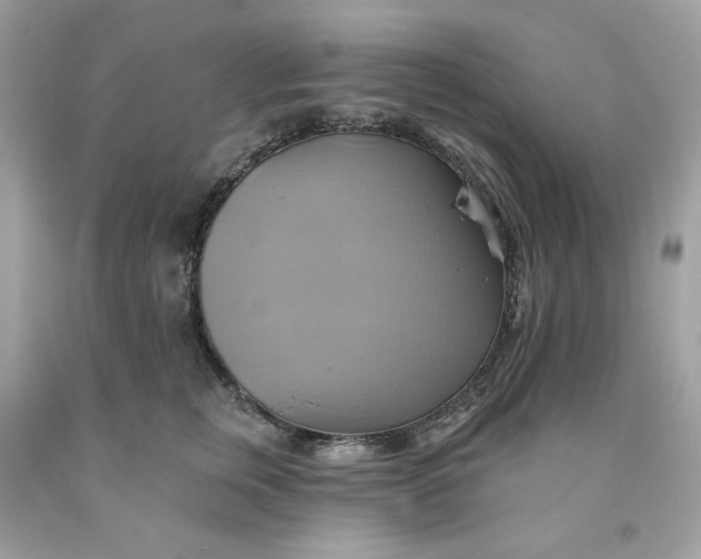 X0000091580759200709101018