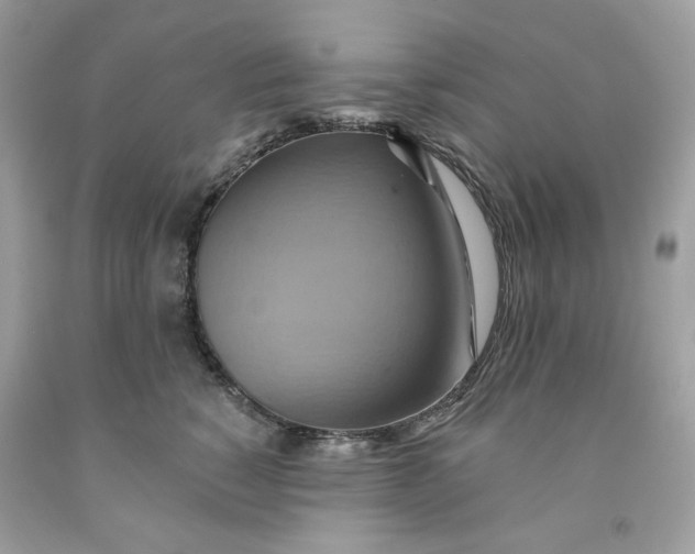 X0000091580760200709101018