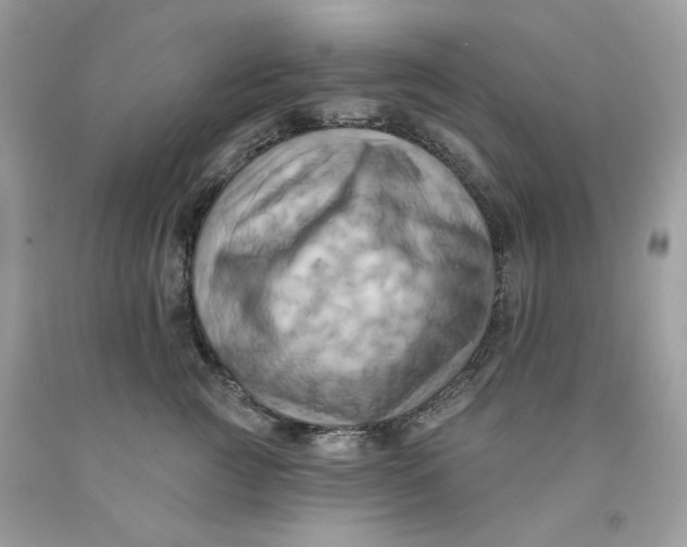 X0000091580761200709101018