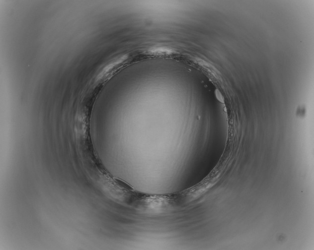 X0000091580762200709101018