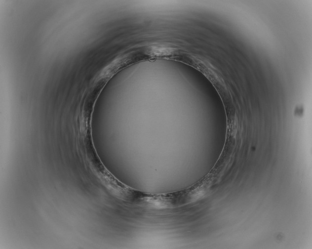 X0000091580763200709101018