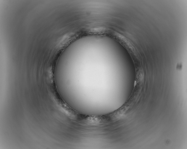 X0000091580764200709101018