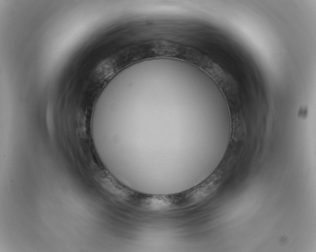 X0000091580765200709101018