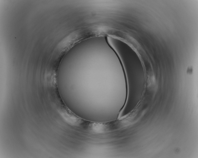 X0000091580766200709101018