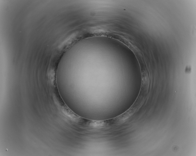 X0000091580767200709101018