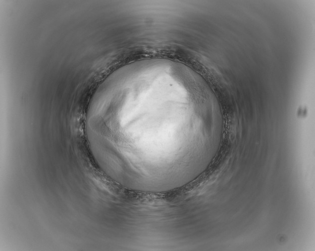 X0000091580770200709101018