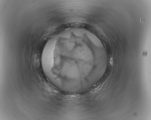 X0000091580771200709101018