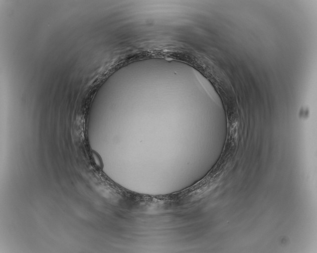 X0000091580772200709101017