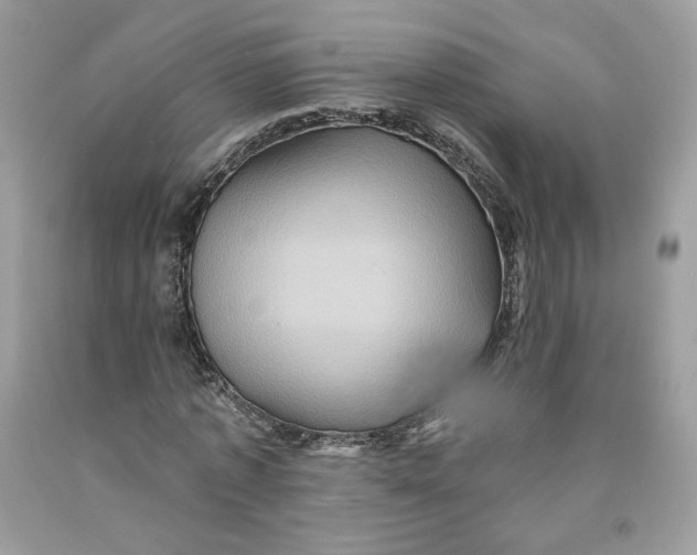 X0000091580773200709101017