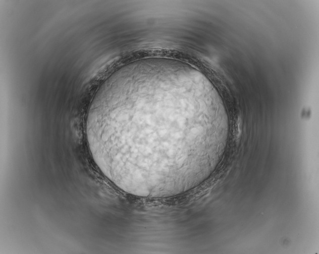 X0000091580774200709101017