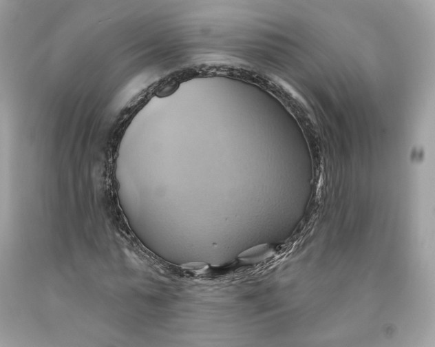 X0000091580775200709101017