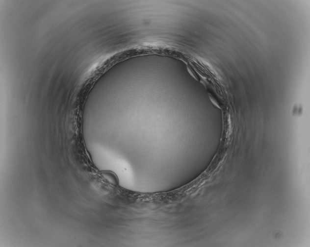 X0000091580776200709101017