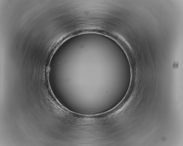 X0000091580777200709101017