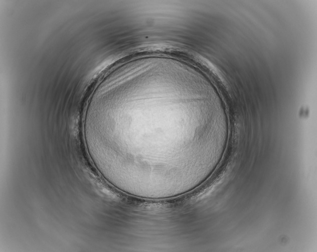 X0000091580778200709101017